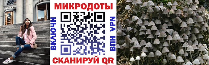 Купить закладки  Козловка  Псилоцибиновые грибы Psilocybe 